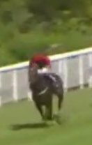 Called horse 410
