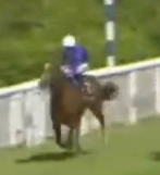 Called horse 408
