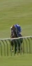 Called horse 424