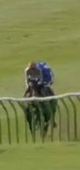 Called horse 424
