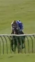 Called horse 424