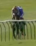 Called horse 424