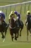 Called horse 427