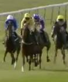 Called horse 427