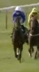 Called horse 423