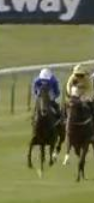 Called horse 423