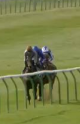 Called horse 438