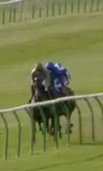 Called horse 438