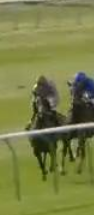 Called horse 450