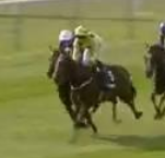 Called horse 452