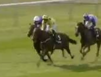 Called horse 452