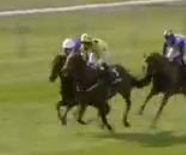 Called horse 452