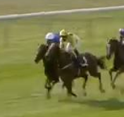 Called horse 452