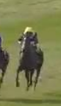 Called horse 480