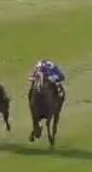 Called horse 479