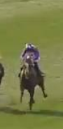 Called horse 479