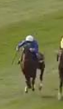 Called horse 477