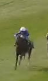 Called horse 477