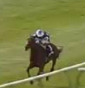 Called horse 492