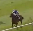 Called horse 492