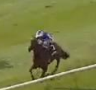 Called horse 492