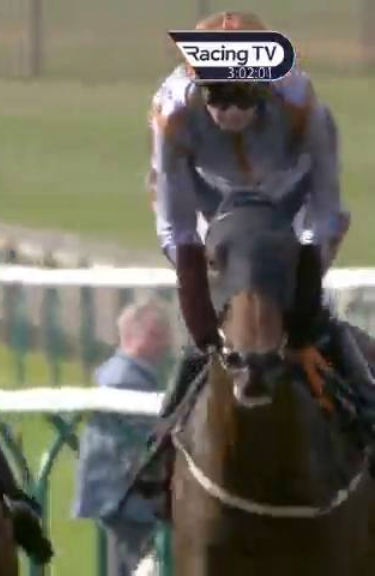 Called horse 501
