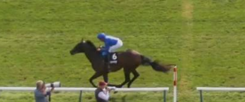 Called horse 504