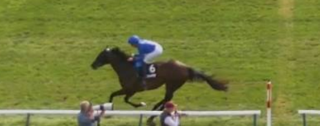 Called horse 504