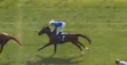 Called horse 506