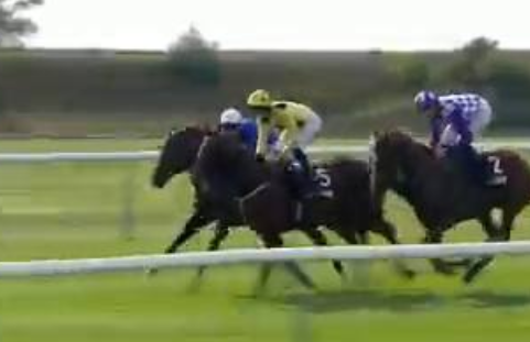 Called horse 517
