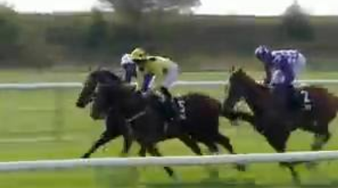 Called horse 517