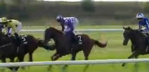 Called horse 519