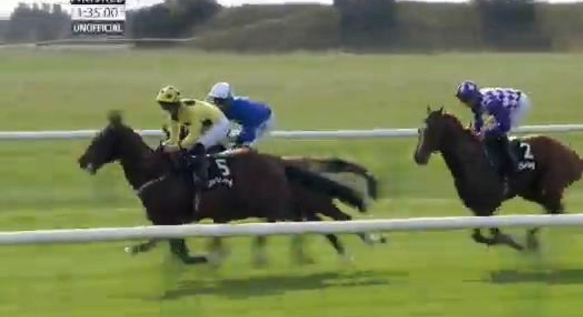Called horse 519