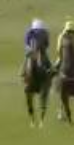 Called horse 535