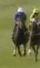 Called horse 535