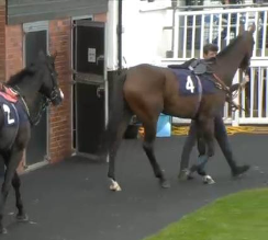 Called horse 28