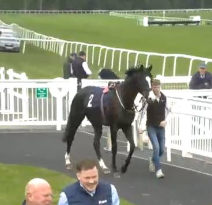 Called horse 35