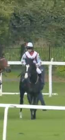 Called horse 77