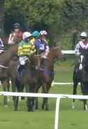 Called horse 78