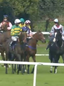 Called horse 78