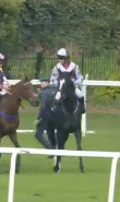 Called horse 77