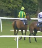 Called horse 70
