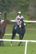 Called horse 77