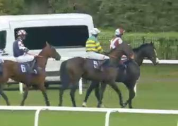 Called horse 77