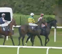 Called horse 77