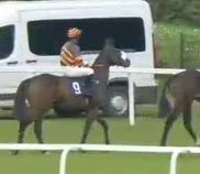 Called horse 76