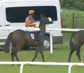 Called horse 76
