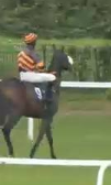 Called horse 76