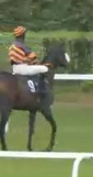 Called horse 76