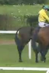 Called horse 100